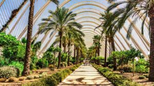 mejores barrios de valencia para vivir